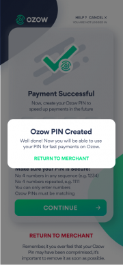 Ozow PIN created